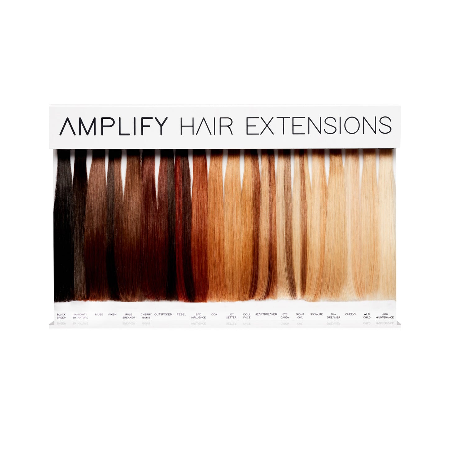 Amplify Color Swatch Display