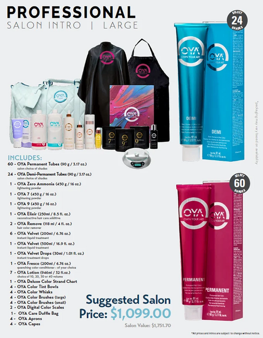 Professional Salon Intro | Large